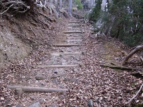 20190214hike (196)